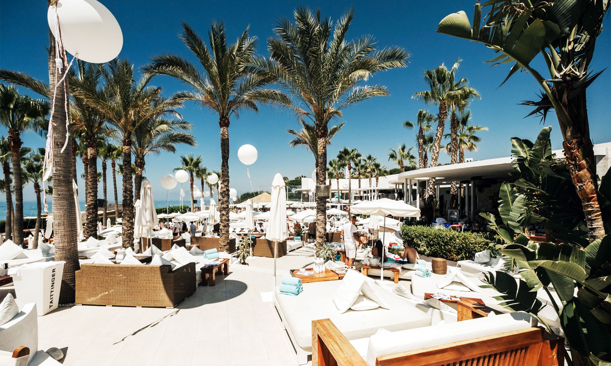 Elviria Area Guide