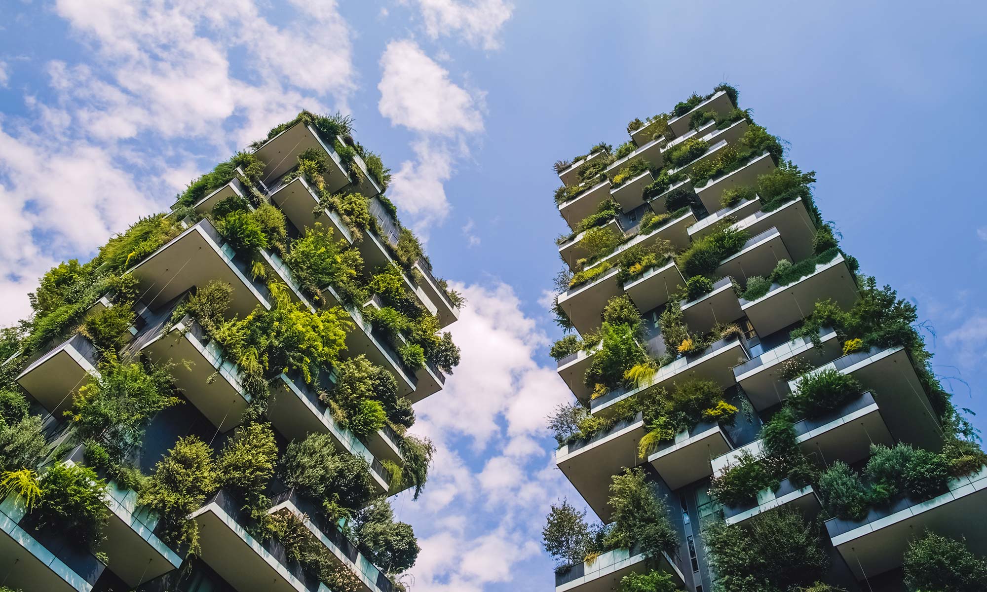 Green Cities