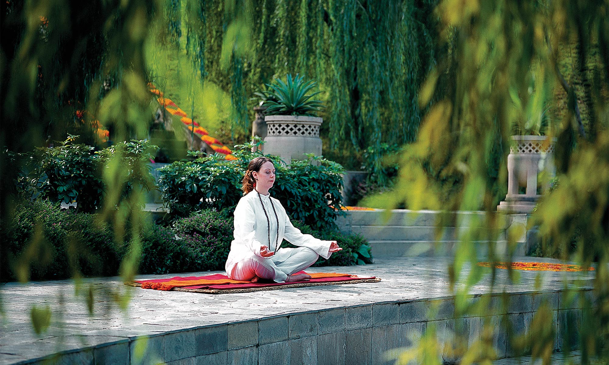 Wellness Retreats