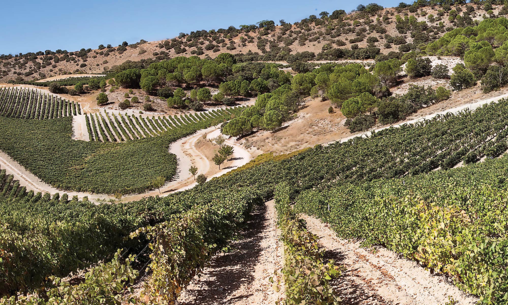 Quinta Sardonia
