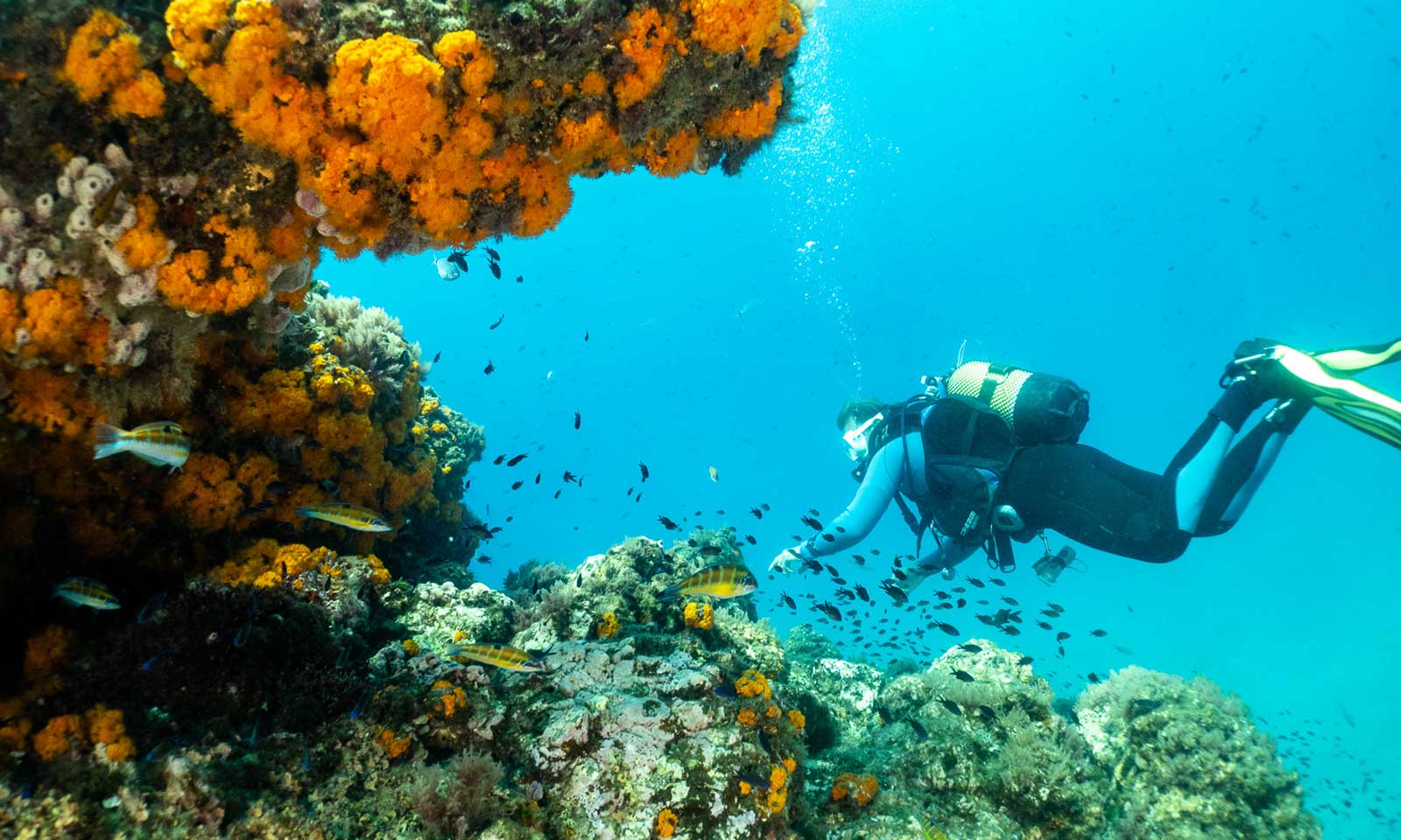 Diving-Marbella