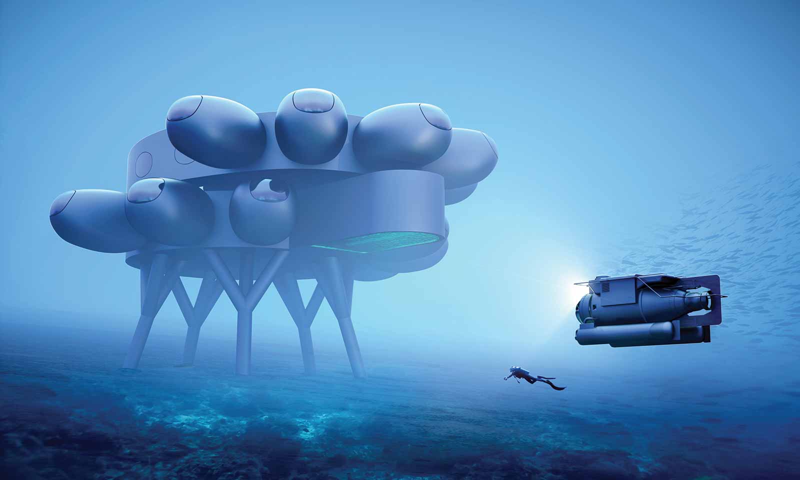 Proteus