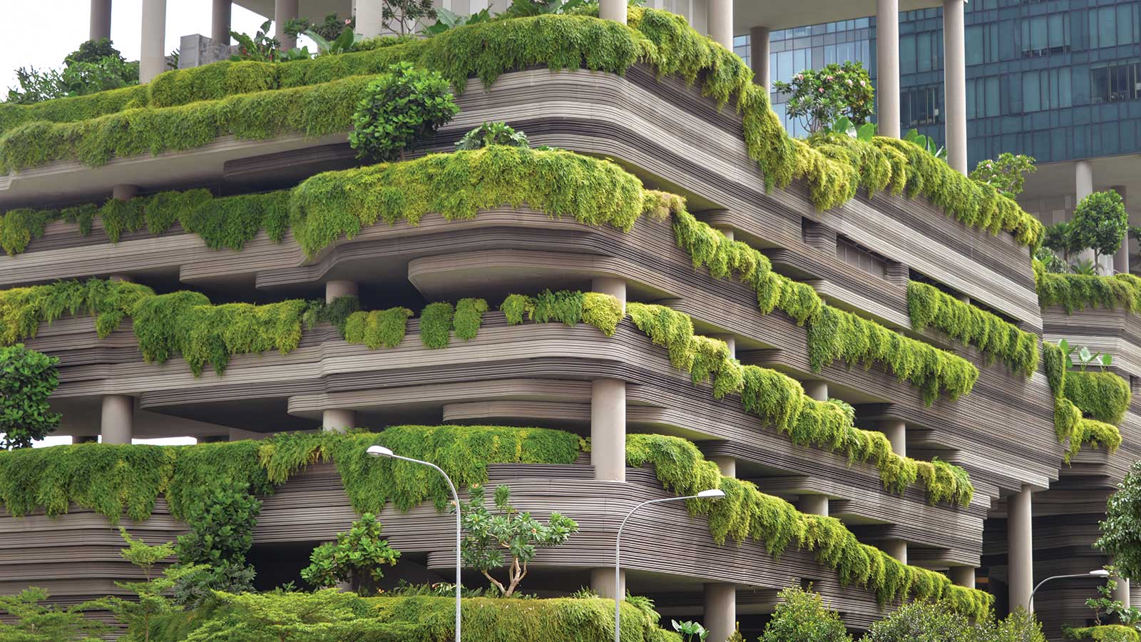 Vertical Gardens